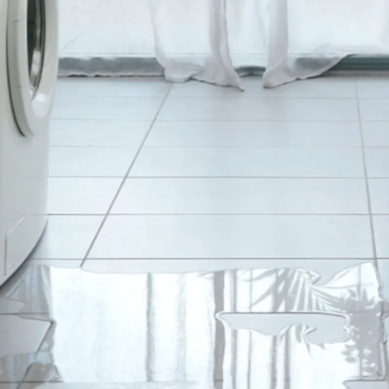Appliance Leak Cleanup in Worden, IL