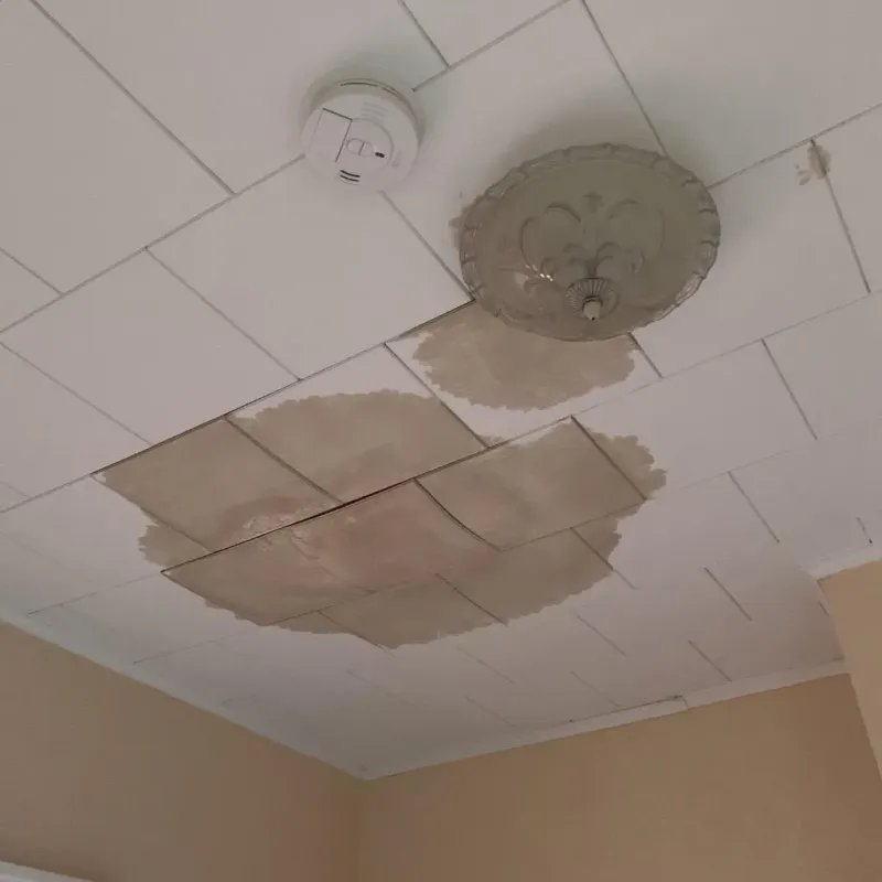Ceiling Water Damage Repair in Worden, IL