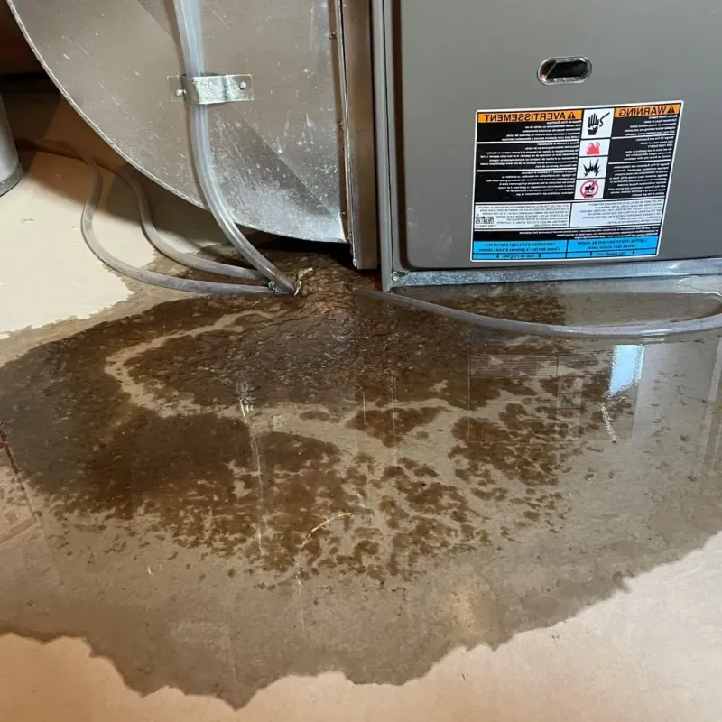 Pipe Burst and Leak Restoration in Worden, IL